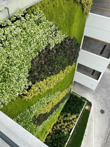 New Luxury Apartment With King - Size Bed Ceibos Guayaquil Exterior foto